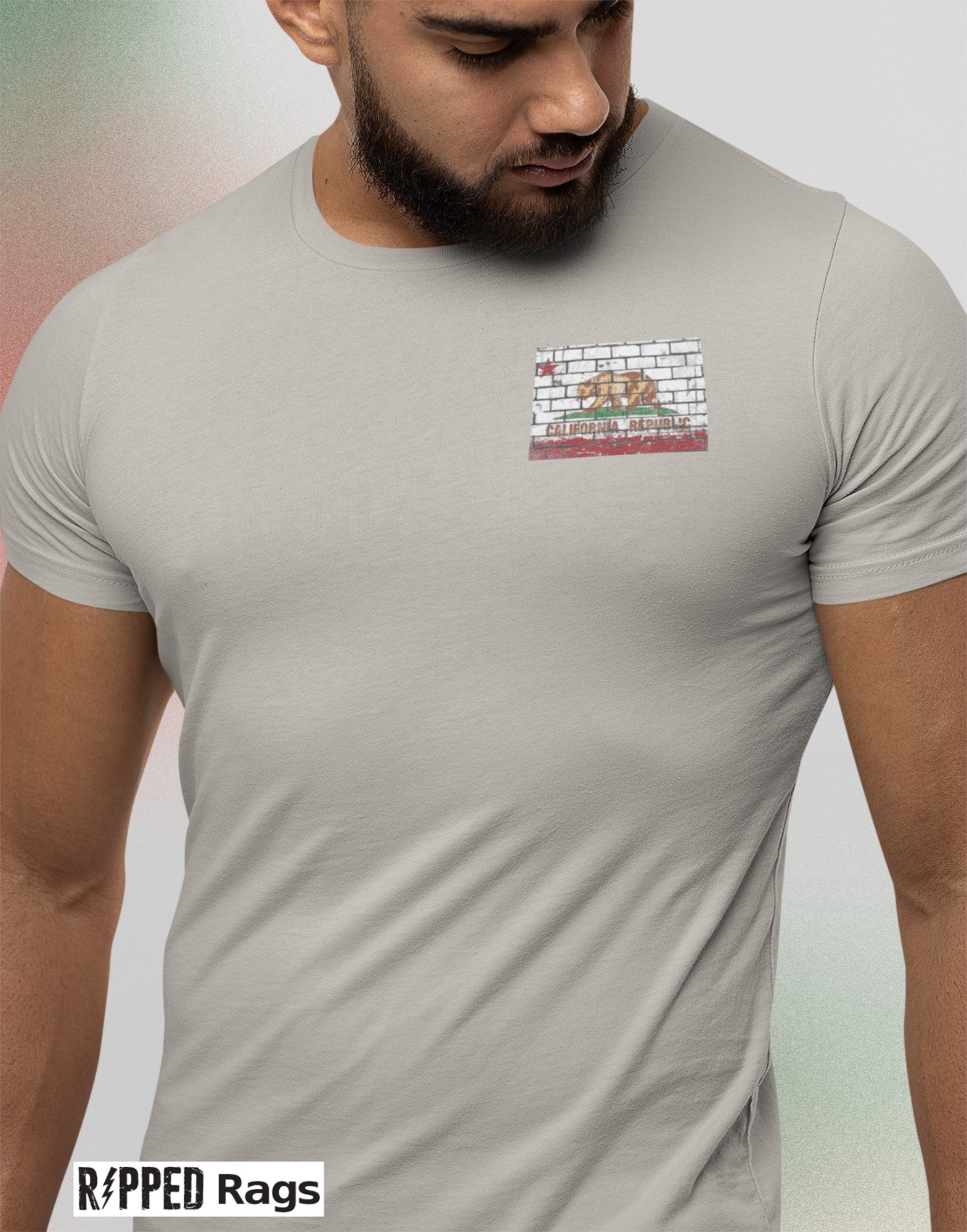 Ripped Rags California Flag Ripped T-shirt