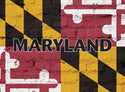 Maryland Flag Ripped T-shirt