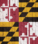 Maryland Flag Ripped T-shirt