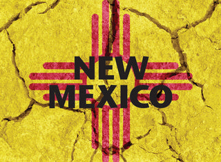 New Mexico Flag Ripped T-shirt