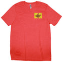 New Mexico Flag Ripped T-shirt