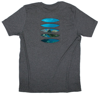 Buy dark-grey Sublime Sea Turtle Ripped T-shirt